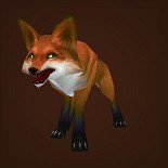 幼狐