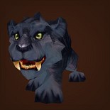 猎豹幼崽
