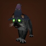 灵猫魔宠