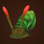 闪光湖蜗牛