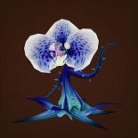 花花