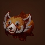 棕色小熊猫
