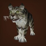 黑纹灰猫
