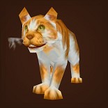 黄猫